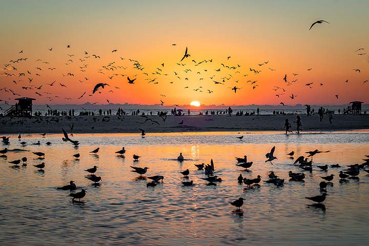 Peaceful Sunset - Family Counseling Center St. Petersburg and Telehealth Florida